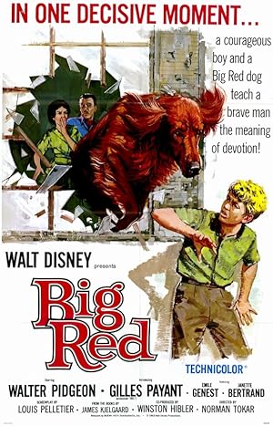 Cover image of the movie Big Red (1962)
