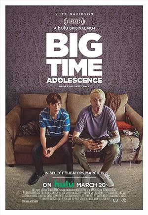 Cover image of the movie Big Time Adolescence (2019)