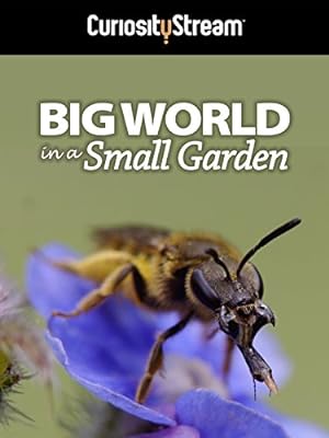 Cover image of the movie Big World in a Small Garden (2016)