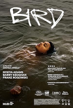 Cover image of the movie Bird (2024)