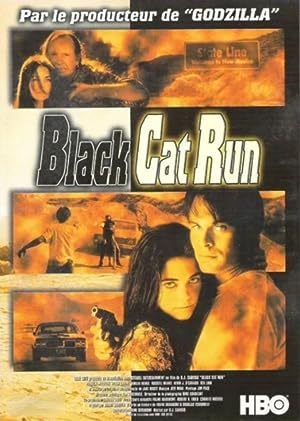 Cover image of the movie Black Cat Run (1998)