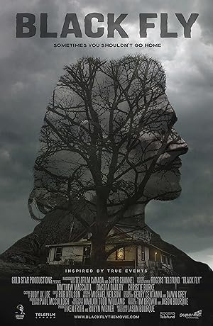 Cover image of the movie Black Fly (2014)