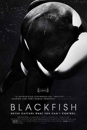 Cover image of the movie Blackfish (2013)