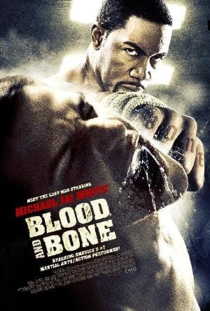 Cover image of the movie Blood and Bone (2009)