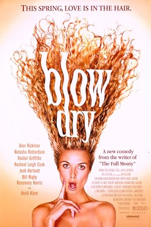 Cover image of the movie Blow Dry (2001)