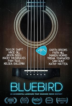 Cover image of the movie Bluebird (2019)