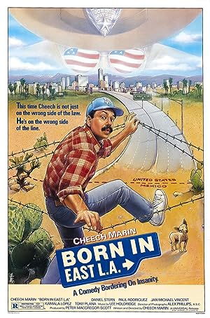 Cover image of the movie Born in East L.A. (1987)