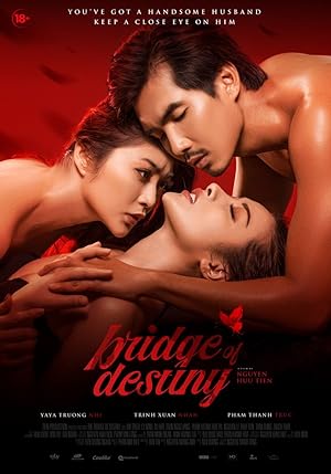 Cover image of the movie Bridge of Destiny (2020)
