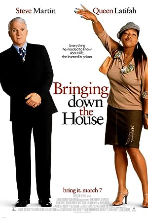 Cover image of the movie Bringing Down the House (2003)