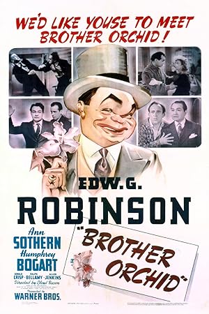 Cover image of the movie Brother Orchid (1940)