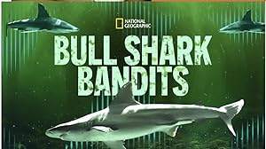 Cover image of the movie Bull Shark Bandits (2023)
