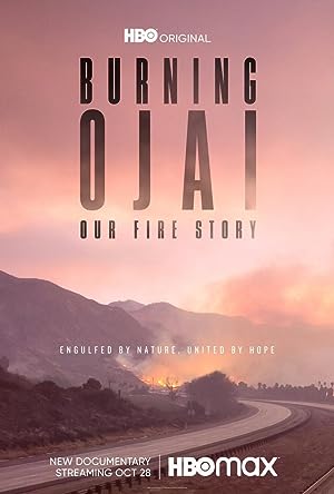 Cover image of the movie Burning Ojai: Our Fire Story (2020)