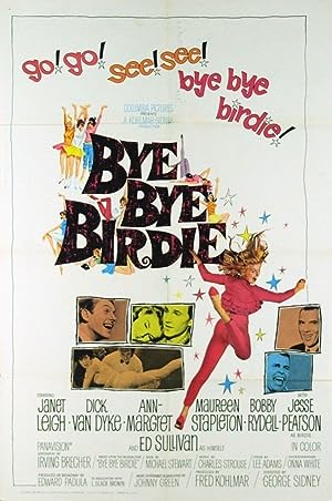 Cover image of the movie Bye Bye Birdie (1963)