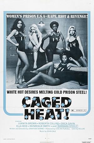 Cover image of the movie Caged Heat (1974)