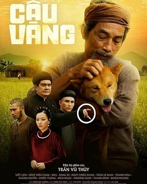 Cover image of the movie Cau Vang (2021)