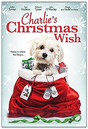 Cover image of the movie Charlie's Christmas Wish (2020)