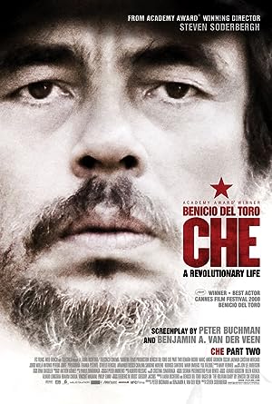 Cover image of the movie Che: Part Two (2008)