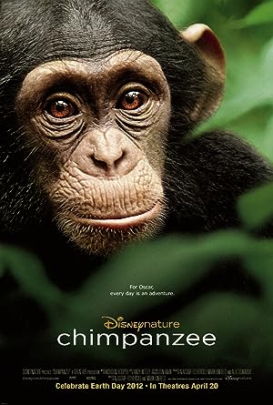 Cover image of the movie Chimpanzee (2012)