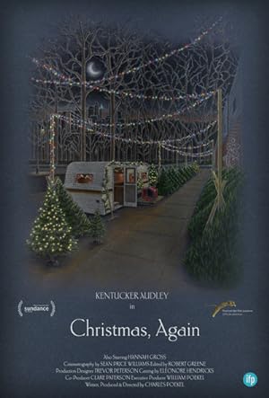 Cover image of the movie Christmas, Again (2014)