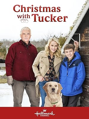 Cover image of the movie Christmas with Tucker (2013)