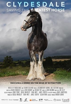 Cover image of the movie Clydesdale: Saving the Greatest Horse (2020)