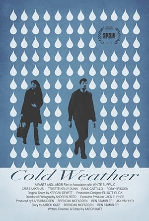 Cover image of the movie Cold Weather (2010)