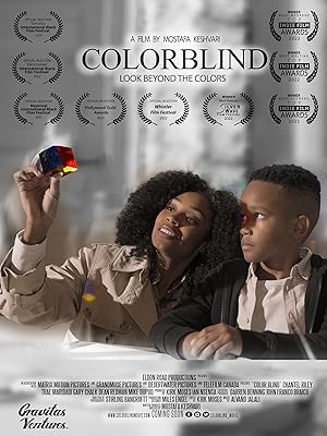 Cover image of the movie Colorblind (2023)