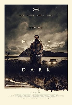 Cover image of the movie Coming Home in the Dark (2021)