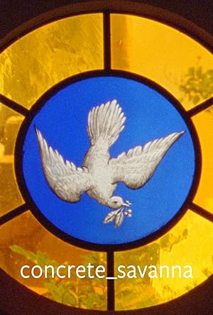 Cover image of the movie Concrete_savanna (2021)