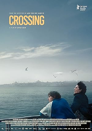 Cover image of the movie Crossing (2024)