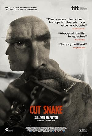 Cover image of the movie Cut Snake (2014)