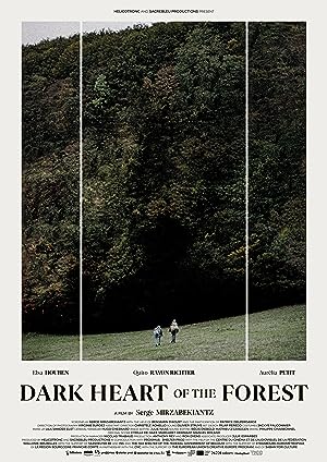 Cover image of the movie Dark Heart of the Forest (2021)