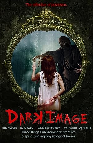 Cover image of the movie Dark Image (2017)