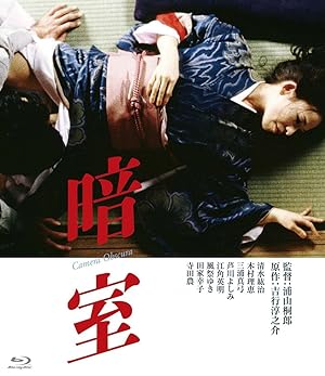 Cover image of the movie Dark Room (1983)