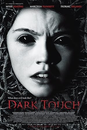 Cover image of the movie Dark Touch (2013)