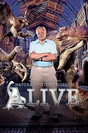 Cover image of the movie David Attenborough's Natural History Museum Alive (2014)