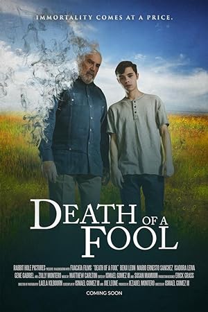 Cover image of the movie Death of a Fool (2020)
