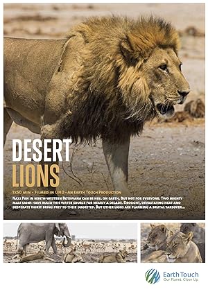 Cover image of the movie Desert Lions (2017)