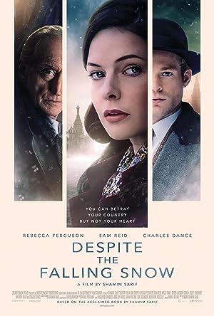 Cover image of the movie Despite the Falling Snow (2016)