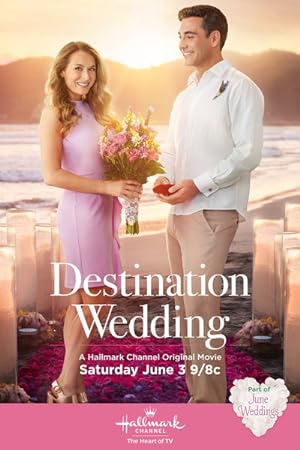 Cover image of the movie Destination Wedding (2017)