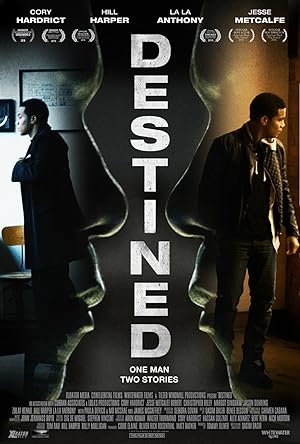 Cover image of the movie Destined (2016)