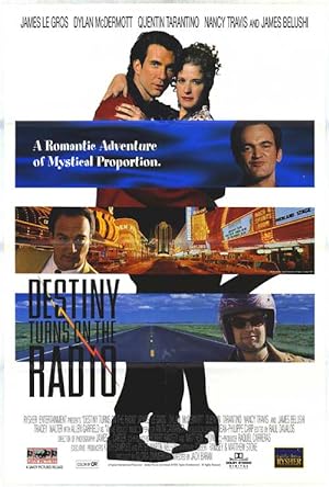 Cover image of the movie Destiny Turns on the Radio (1995)
