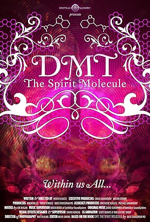 Cover image of the movie DMT: The Spirit Molecule (2010)