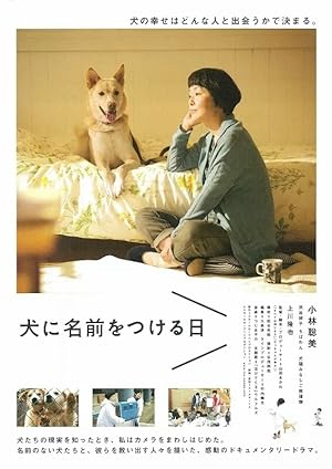 Cover image of the movie Dogs Without Names (2015)