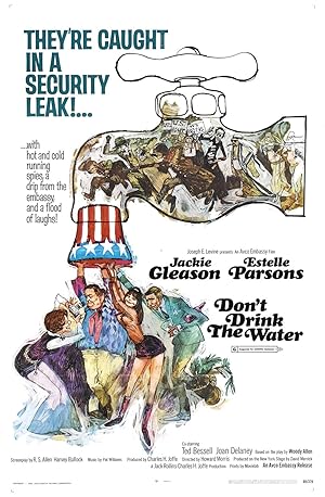 Cover image of the movie Don't Drink the Water (1969)