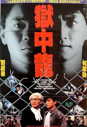 Cover image of the movie Dragon in Jail (1990)
