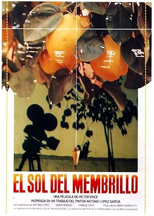 Cover image of the movie Dream of Light (1992)