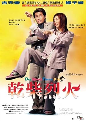 Cover image of the movie Dry Wood Fierce Fire (2002)