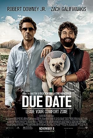 Cover image of the movie Due Date (2010)
