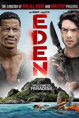 Cover image of the movie Eden (2014)